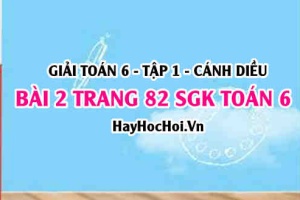 Giải bài 2 trang 82 Toán 6 Tập 1 SGK Cánh Diều